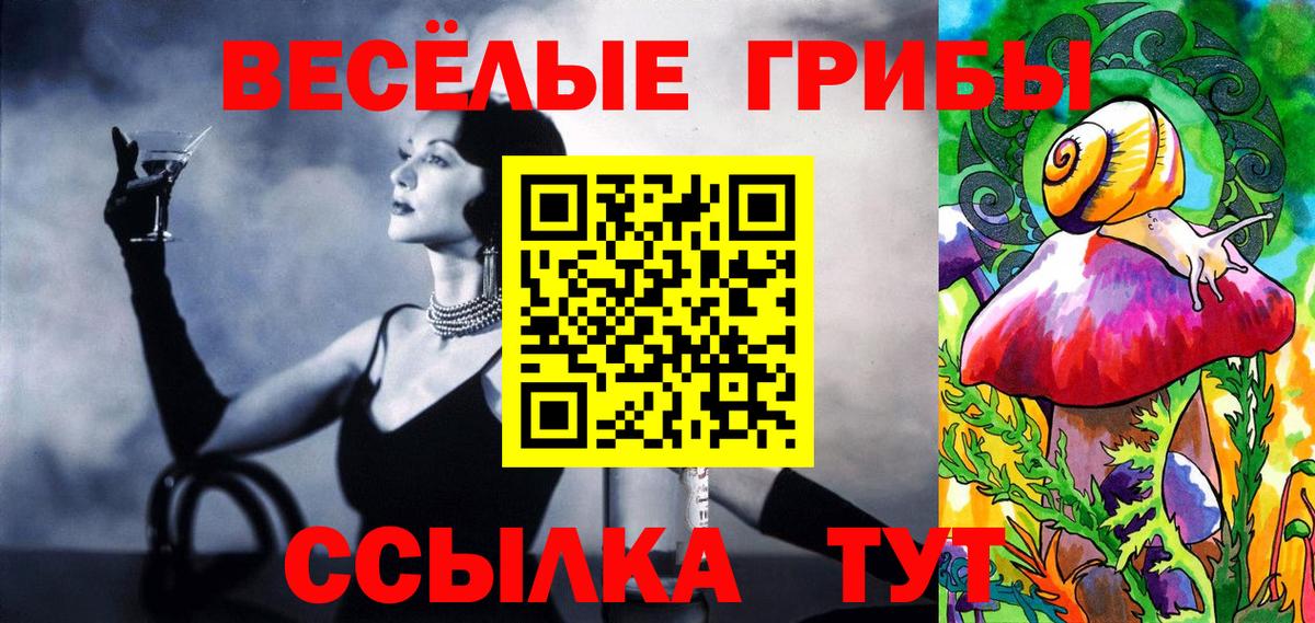 Галлюциногенные грибы Cubensis  Вход с VPN  Выкса 