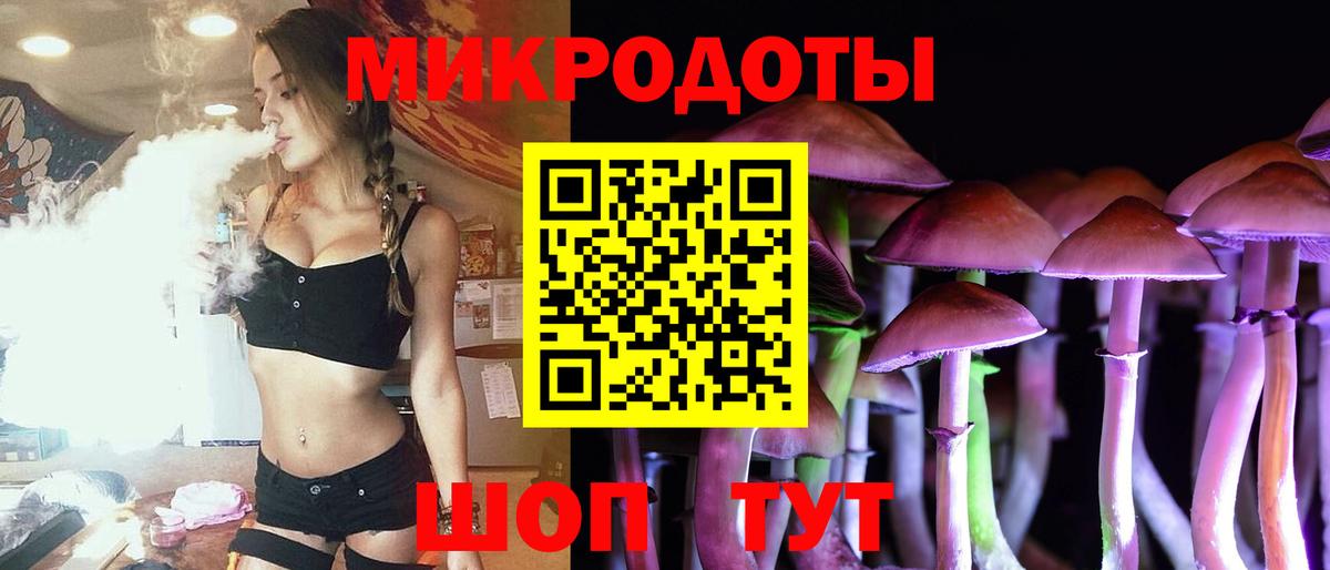 Псилоцибиновые грибы Psilocybine cubensis Выкса